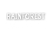 Rainforest Academy & Preschool